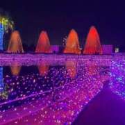 ヒメ日記 2025/01/30 19:03 投稿 おりびあ 熟女の風俗最終章 町田店