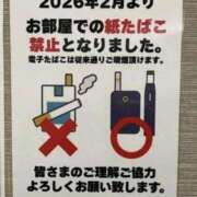 ヒメ日記 2026/02/19 10:16 投稿 菜緒 快楽玉乱堂