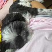 ヒメ日記 2025/02/26 19:44 投稿 しおん 熟女の風俗最終章 仙台店