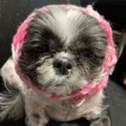 ヒメ日記 2025/03/05 18:34 投稿 しおん 熟女の風俗最終章 仙台店