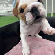 ヒメ日記 2025/03/11 19:34 投稿 しおん 熟女の風俗最終章 仙台店