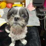 ヒメ日記 2025/12/09 02:34 投稿 しおん 熟女の風俗最終章 仙台店