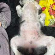 ヒメ日記 2025/12/09 12:54 投稿 しおん 熟女の風俗最終章 仙台店