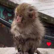 ヒメ日記 2025/12/13 16:14 投稿 しおん 熟女の風俗最終章 仙台店