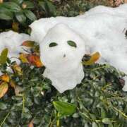 しおん 本日は 熟女の風俗最終章 仙台店