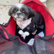 ヒメ日記 2025/12/17 10:14 投稿 しおん 熟女の風俗最終章 仙台店