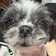 ヒメ日記 2026/02/08 00:28 投稿 しおん 熟女の風俗最終章 仙台店