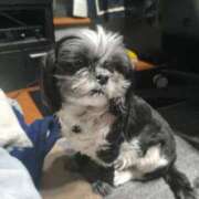 ヒメ日記 2026/02/09 18:26 投稿 しおん 熟女の風俗最終章 仙台店