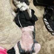 ヒメ日記 2026/02/11 17:44 投稿 しおん 熟女の風俗最終章 仙台店