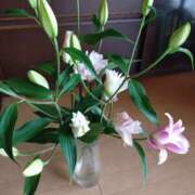 ヒメ日記 2025/05/14 15:24 投稿 いいちこ スーパーマッサージ