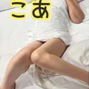 ヒメ日記 2026/07/16 14:44 投稿 こあ 即アポ奥さん ～津・松阪店～