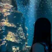 ヒメ日記 2025/07/13 18:02 投稿 れお 淫乱カンパニー 東金・茂原店