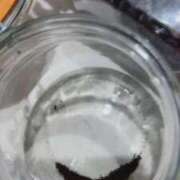 ヒメ日記 2025/12/02 07:44 投稿 ナナコ cuteなミセス