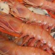 ナナコ 12/24 cuteなミセス