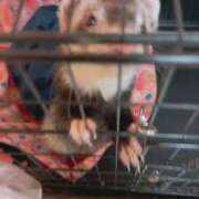 ヒメ日記 2025/12/26 09:04 投稿 ナナコ cuteなミセス