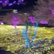 ヒメ日記 2025/12/30 09:46 投稿 ナナコ cuteなミセス