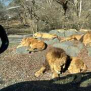 ヒメ日記 2025/12/30 17:44 投稿 ナナコ cuteなミセス