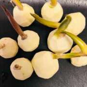 ヒメ日記 2025/12/31 15:54 投稿 ナナコ cuteなミセス