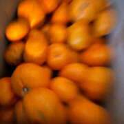 ヒメ日記 2026/01/05 05:47 投稿 ナナコ cuteなミセス