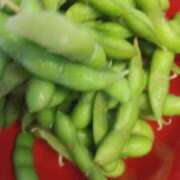 ヒメ日記 2026/01/06 12:44 投稿 ナナコ cuteなミセス