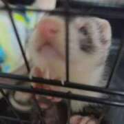 ヒメ日記 2026/01/07 09:24 投稿 ナナコ cuteなミセス