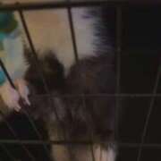 ヒメ日記 2026/01/14 15:44 投稿 ナナコ cuteなミセス