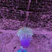 ヒメ日記 2026/01/19 12:47 投稿 ナナコ cuteなミセス