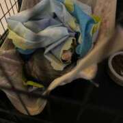 ヒメ日記 2026/01/19 19:44 投稿 ナナコ cuteなミセス