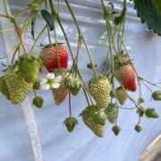 ヒメ日記 2026/02/01 11:14 投稿 ナナコ cuteなミセス