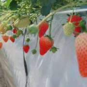 ヒメ日記 2026/02/01 11:26 投稿 ナナコ cuteなミセス