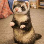 ヒメ日記 2026/02/07 21:24 投稿 ナナコ cuteなミセス