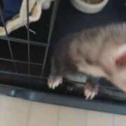 ヒメ日記 2026/02/09 09:44 投稿 ナナコ cuteなミセス