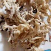 ヒメ日記 2026/02/23 23:57 投稿 ナナコ cuteなミセス