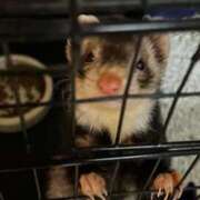 ヒメ日記 2026/03/12 07:34 投稿 ナナコ cuteなミセス