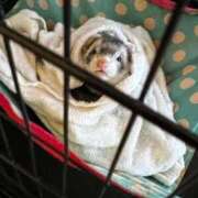 ヒメ日記 2026/04/19 05:04 投稿 ナナコ cuteなミセス