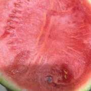 ヒメ日記 2026/04/21 08:14 投稿 ナナコ cuteなミセス