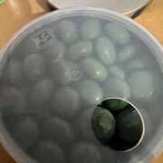 ヒメ日記 2026/04/23 11:04 投稿 ナナコ cuteなミセス