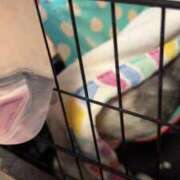 ヒメ日記 2026/04/26 04:24 投稿 ナナコ cuteなミセス