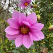 ヒメ日記 2025/12/02 16:22 投稿 ミユウ cuteなミセス