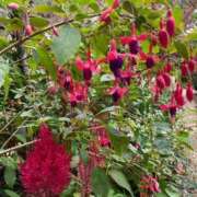 ヒメ日記 2025/12/04 17:04 投稿 ミユウ cuteなミセス