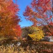 ヒメ日記 2025/12/06 15:34 投稿 ミユウ cuteなミセス