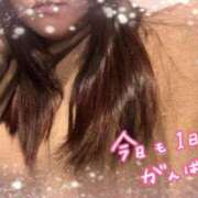 ヒメ日記 2025/12/18 16:31 投稿 いず 京都デリヘル倶楽部FIRST