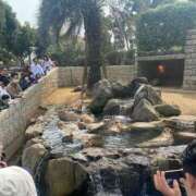 ヒメ日記 2025/08/14 07:00 投稿 まい GlamourGlamour (グラマーグラマー)