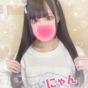 ヒメ日記 2025/02/14 20:10 投稿 にゃん 難波女子高生はやめました！！