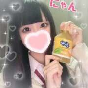 にゃん 明日もいるよにゃん 難波女子高生はやめました！！