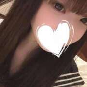 ヒメ日記 2025/04/28 14:45 投稿 とうこ（ごっくん大好きドMロリ ハニービー（Honey Bee）