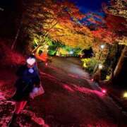 ヒメ日記 2024/12/07 18:01 投稿 れんな 京都デリヘル女学院