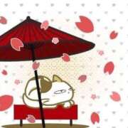 ヒメ日記 2025/04/15 10:48 投稿 早川まお(はやかわまお) 五十路マダムエクスプレス厚木店(カサブランカグループ)