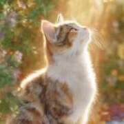 ヒメ日記 2025/10/12 14:32 投稿 早川まお(はやかわまお) 五十路マダムエクスプレス厚木店(カサブランカグループ)