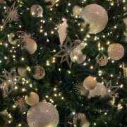 ヒメ日記 2025/12/25 12:26 投稿 早川まお(はやかわまお) 五十路マダムエクスプレス厚木店(カサブランカグループ)